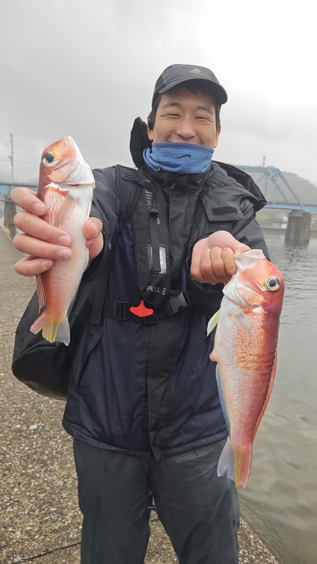 アマダイ(アカアマダイ)