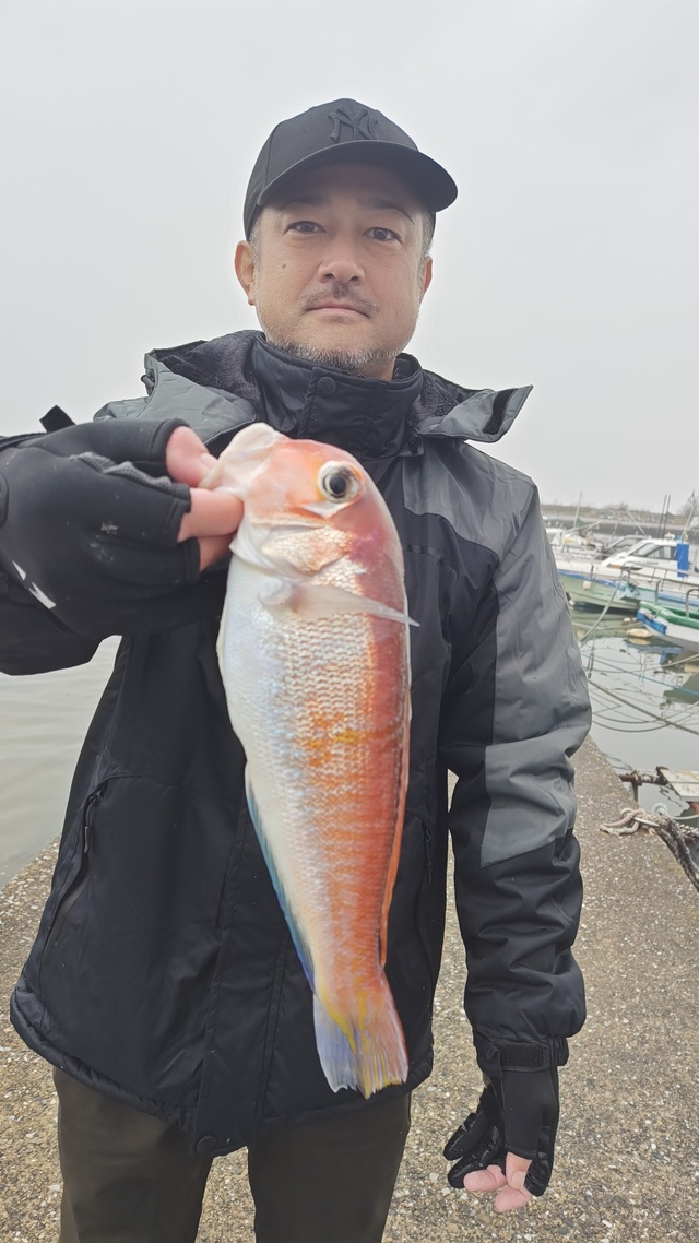 アマダイ(アカアマダイ)