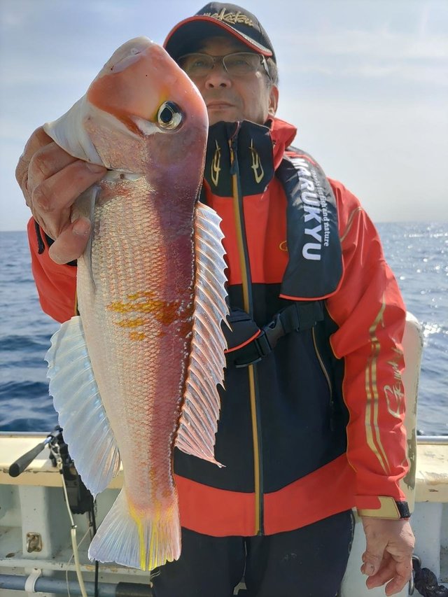 アマダイ(アカアマダイ)