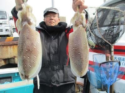 モンゴウイカ(カミナリイカ)