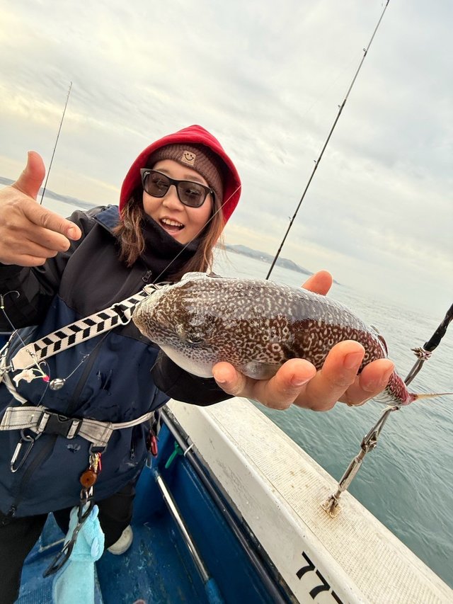 フグ(ショウサイフグ)