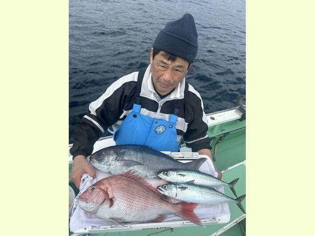 マダイ・サバ(マサバ)・メダイ