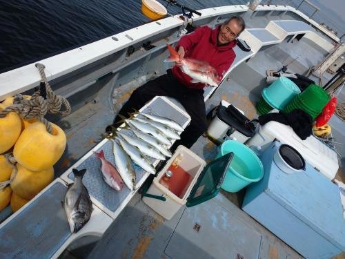 マダイ・クロダイ・イナダ(ブリ)