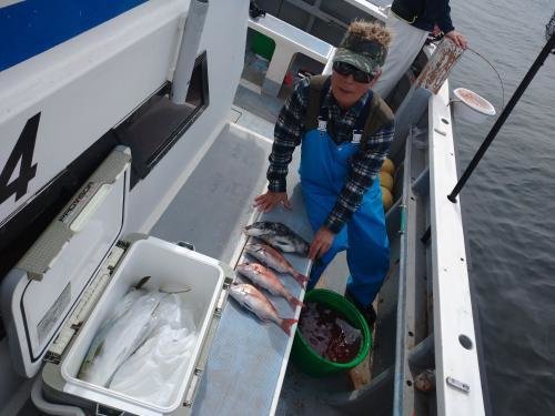 マダイ・クロダイ