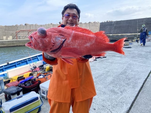 ベニアコウ(オオサガ)