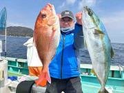 マダイ・ワラサ(ブリ)