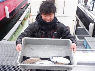 スミイカ(コウイカ)