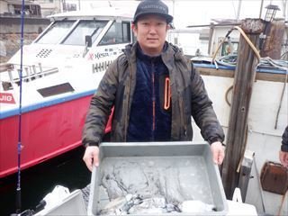 スミイカ(コウイカ)