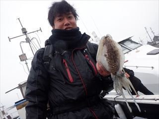 スミイカ(コウイカ)