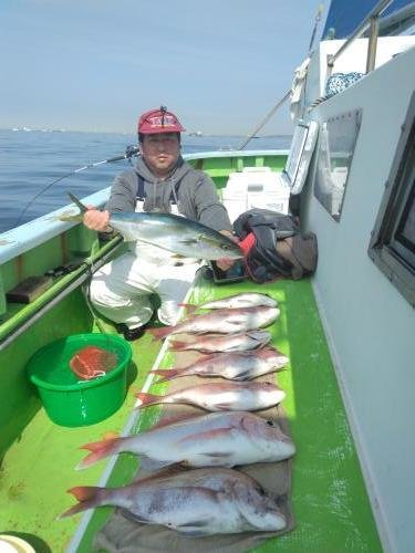 マダイ・ワラサ(ブリ)