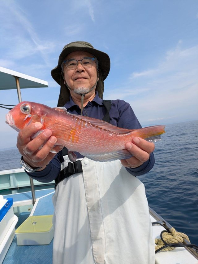 アマダイ(アカアマダイ)