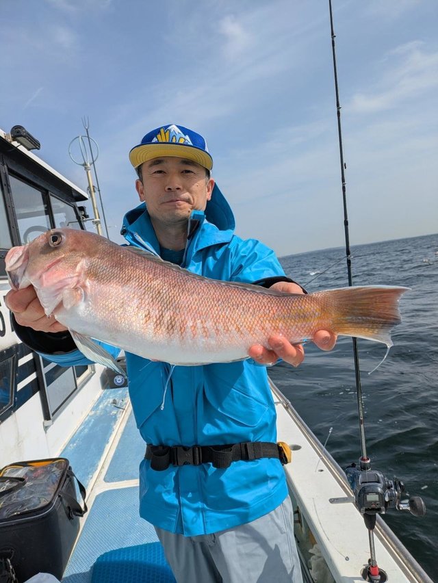 アマダイ(アカアマダイ)