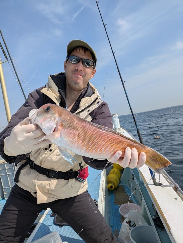 アマダイ(アカアマダイ)