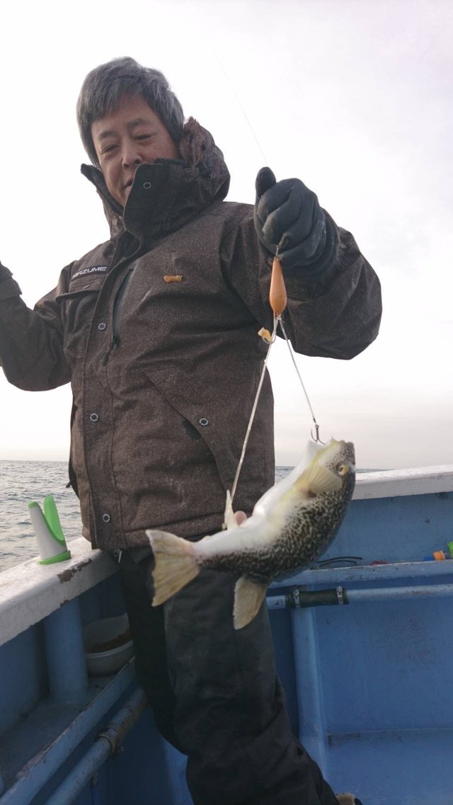 ショウサイフグ