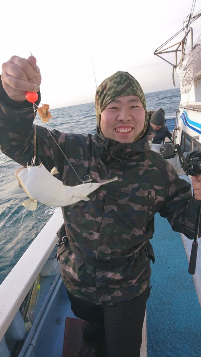 ショウサイフグ