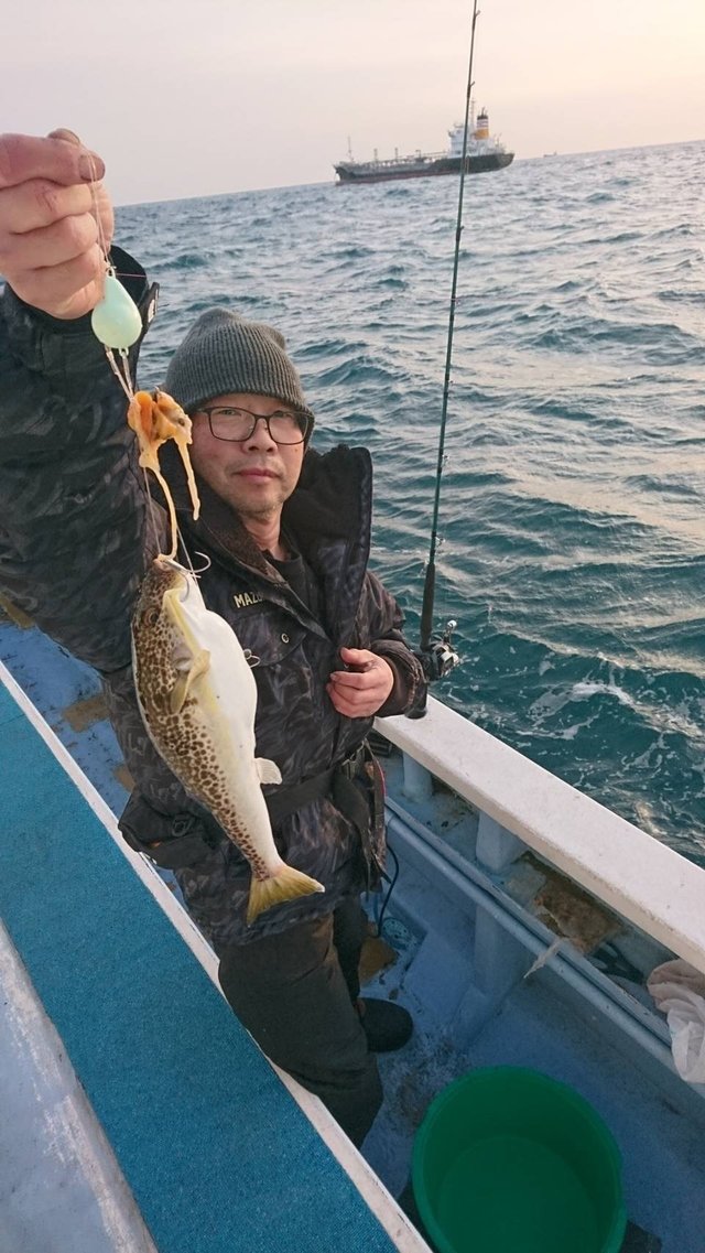 ショウサイフグ