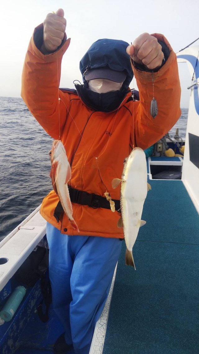 フグ(ショウサイフグ)