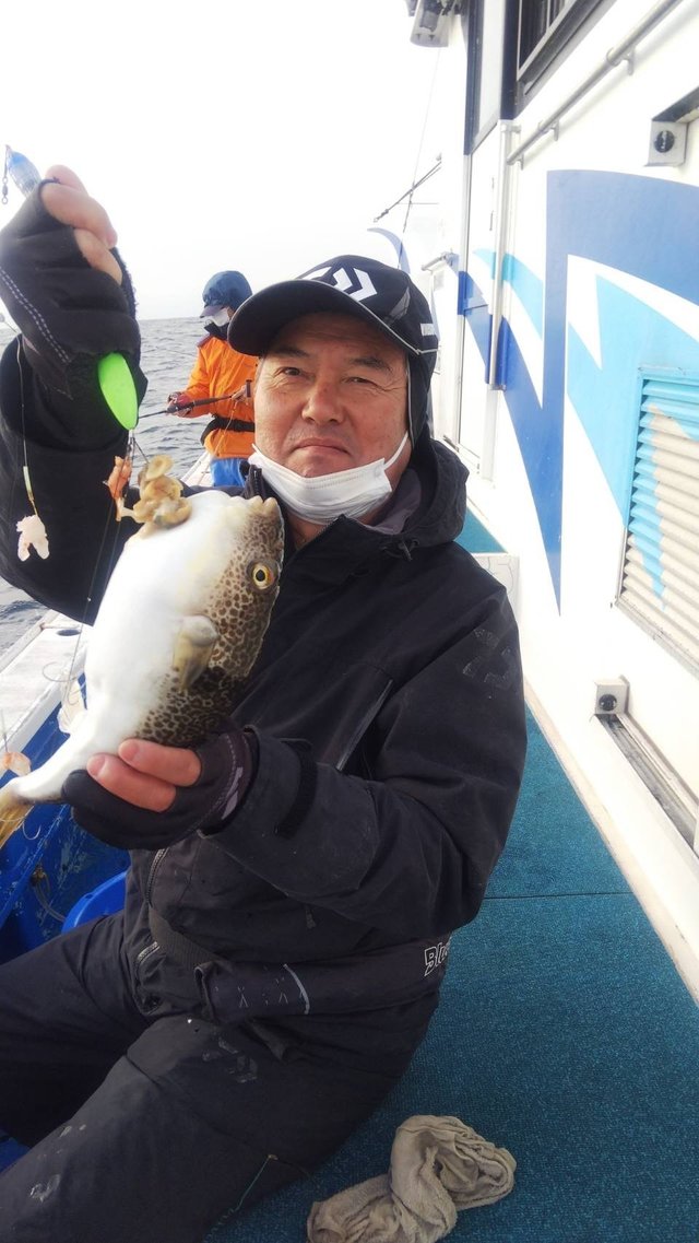 フグ(ショウサイフグ)