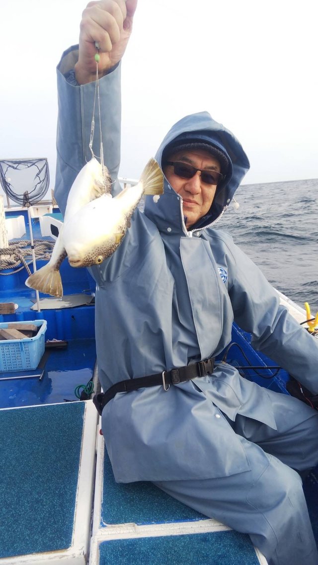 フグ(ショウサイフグ)