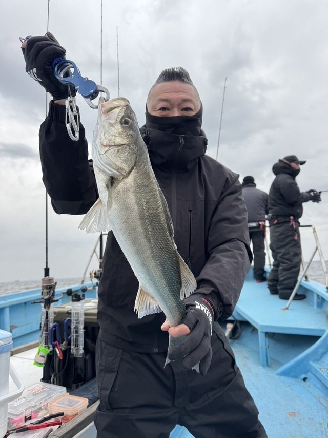 シーバス(スズキ)