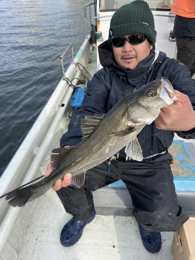 シーバス(スズキ)