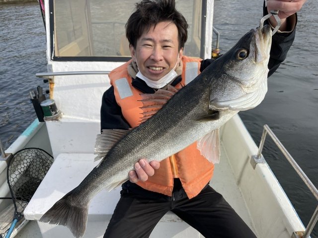 シーバス(スズキ)