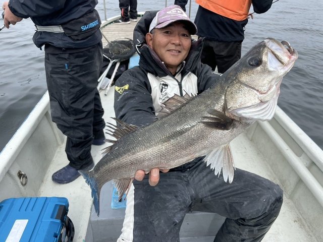 シーバス(スズキ)