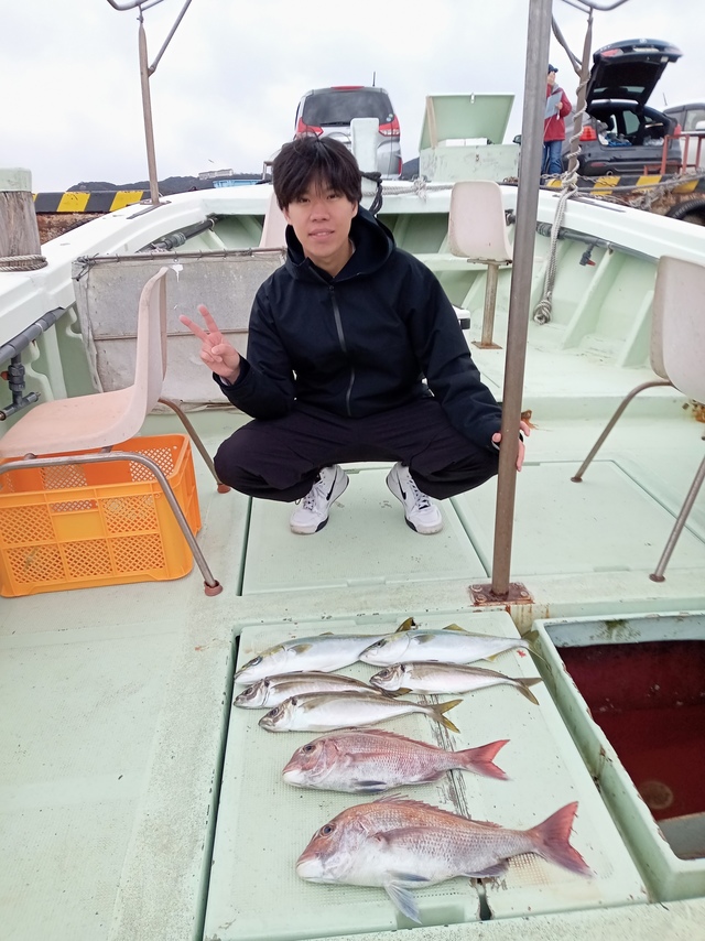 マダイ・マアジ・ハマチ(ブリ)