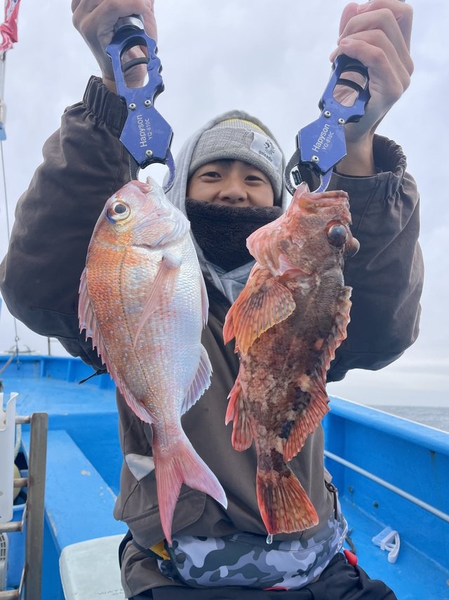 マダイ・カサゴ