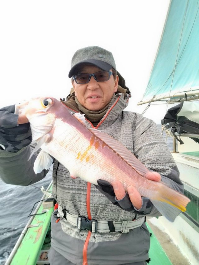 アマダイ(アカアマダイ)