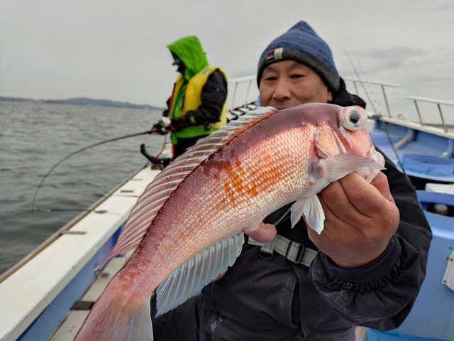 アマダイ(アカアマダイ)