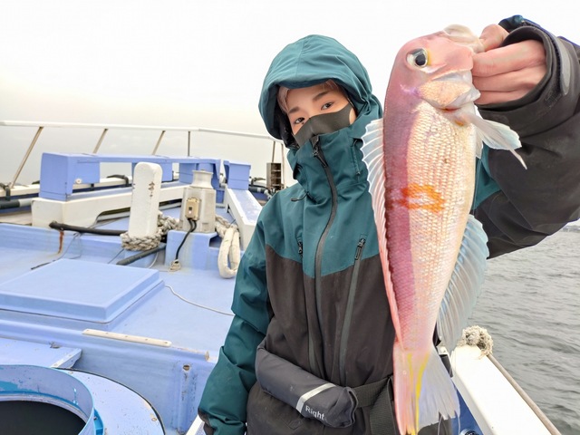 アマダイ(アカアマダイ)