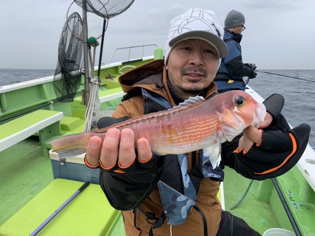 アマダイ(アカアマダイ)