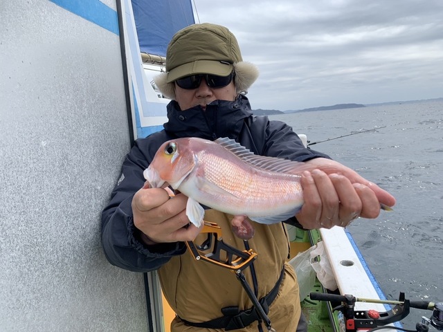 アマダイ(アカアマダイ)