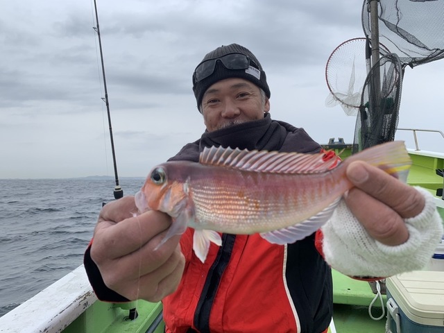 アマダイ(アカアマダイ)