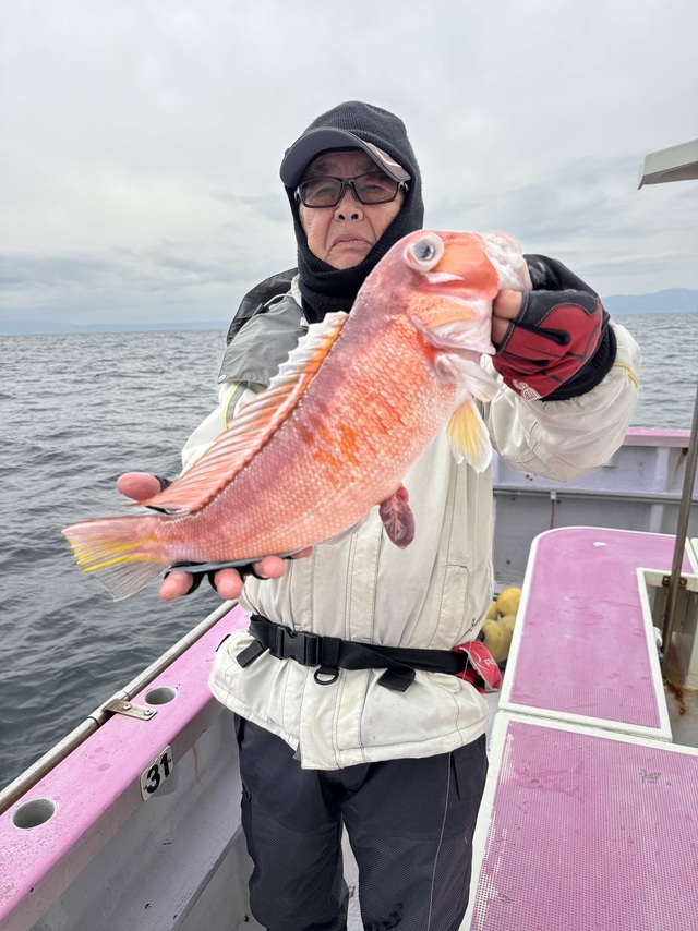 アマダイ(アカアマダイ)