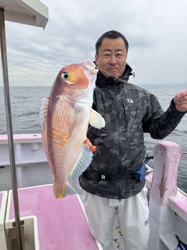 アマダイ(アカアマダイ)