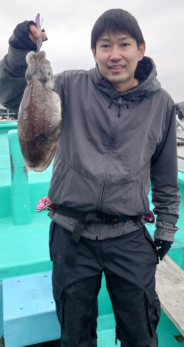 モンゴウイカ(カミナリイカ)