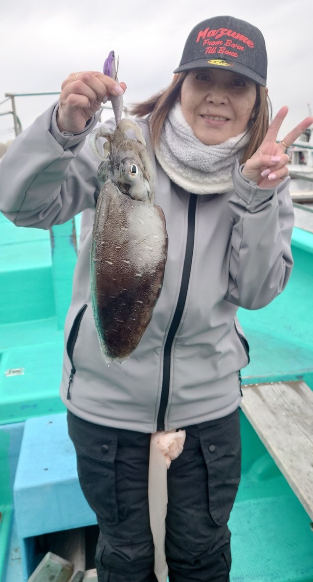 モンゴウイカ(カミナリイカ)