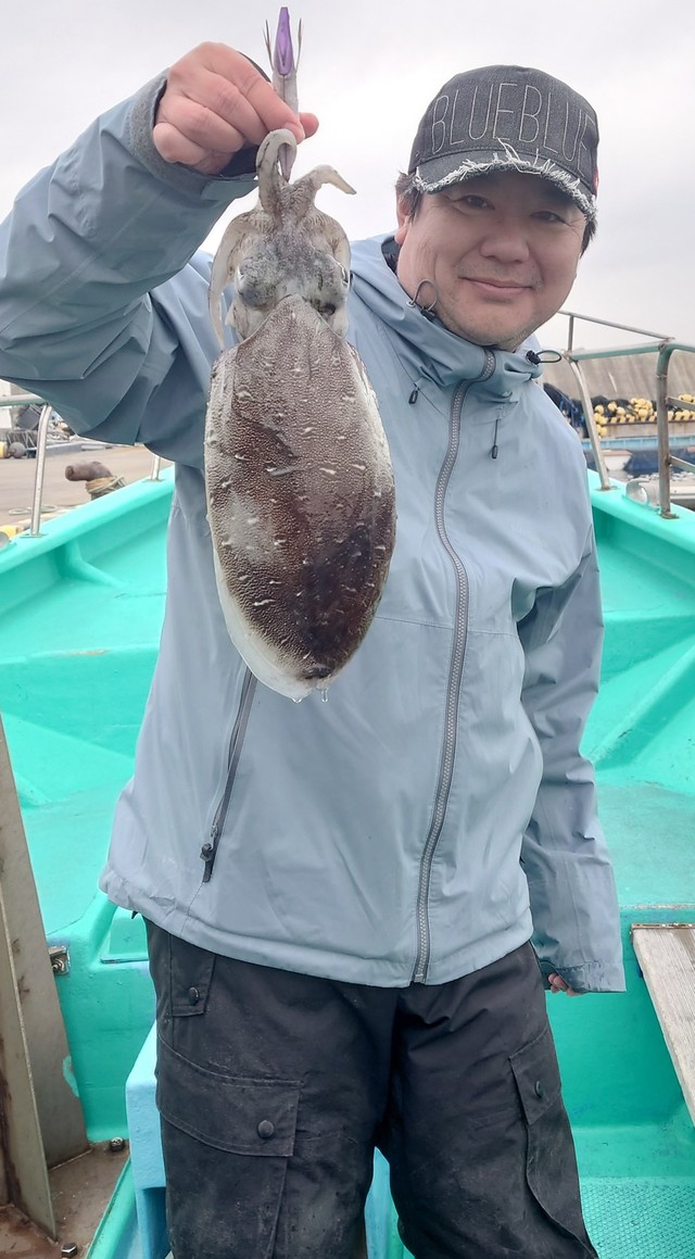 モンゴウイカ(カミナリイカ)