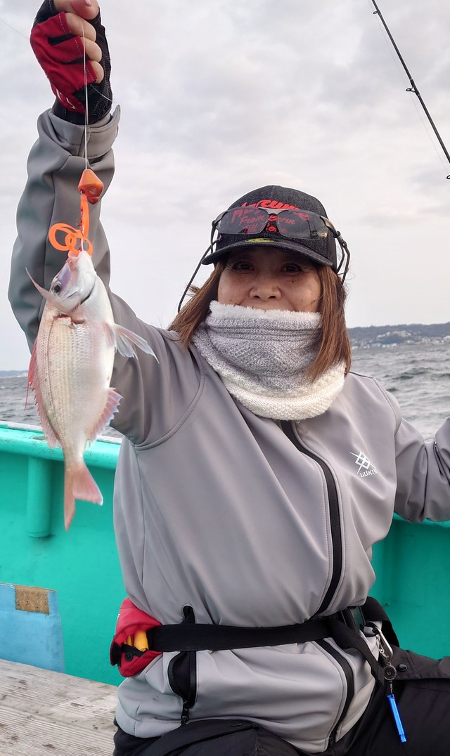 ハナダイ(チダイ)