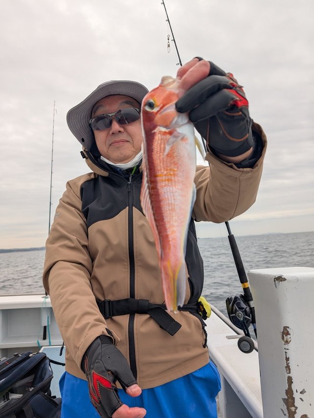 アマダイ(アカアマダイ)