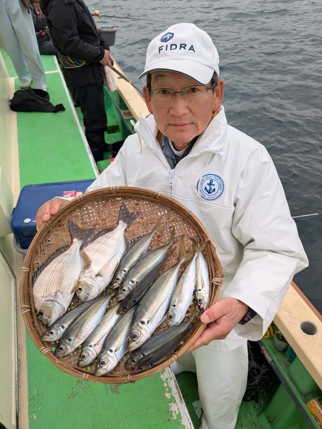 ヘダイ・アジ(マアジ)