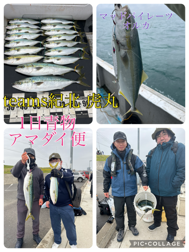 ハマチ(ブリ)・メジロ(ブリ)