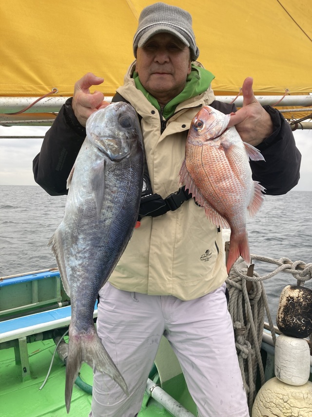 マダイ・メダイ