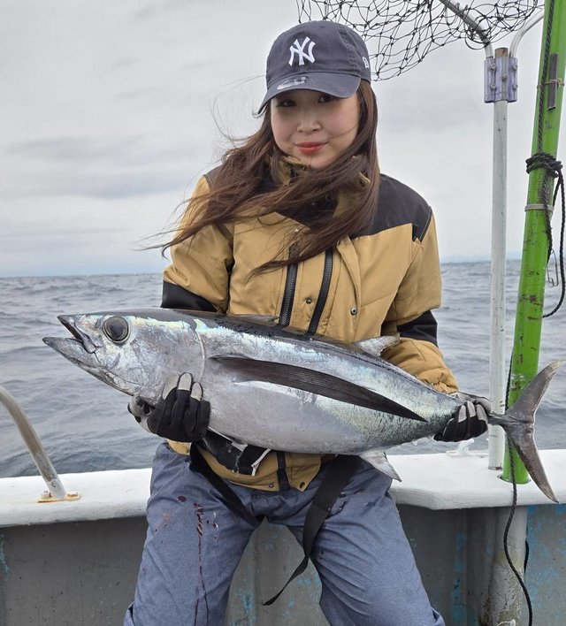 トンボ(ビンナガ)