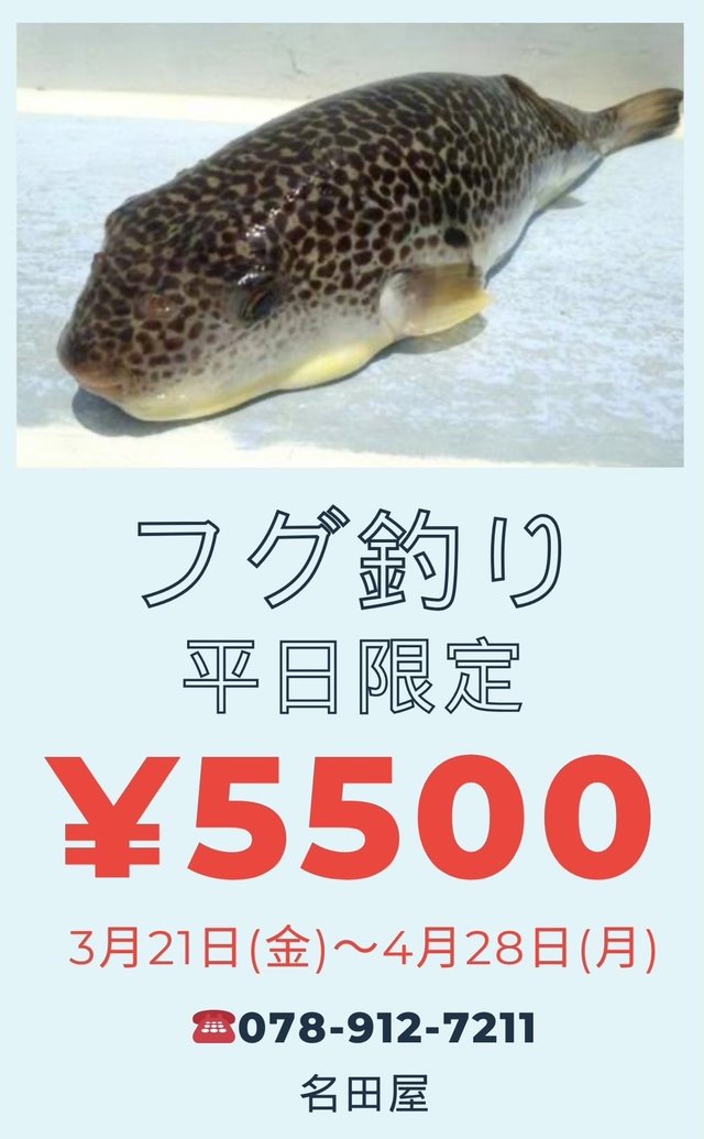 ショウサイフグ