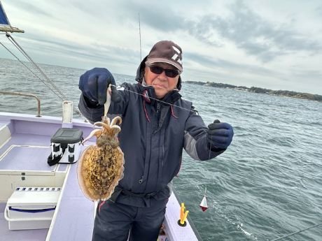 スミイカ(コウイカ)