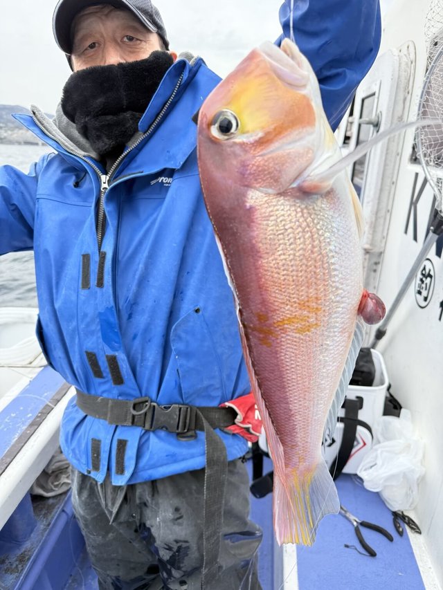 アマダイ(アカアマダイ)