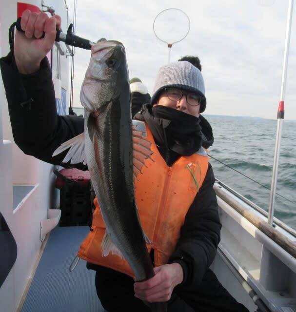 シーバス(スズキ)